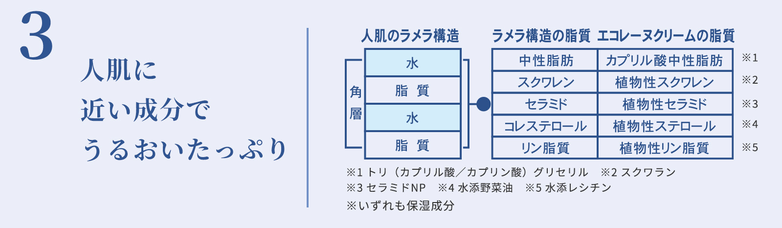人肌に近い成分でうるおいたっぷり