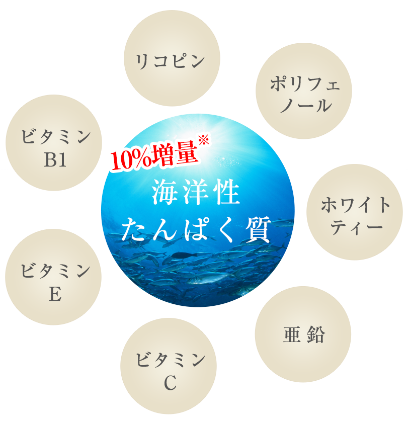 【即納正規品】ベリタス イミディーン・タイムパーフェクション 60粒　3箱 健康用品