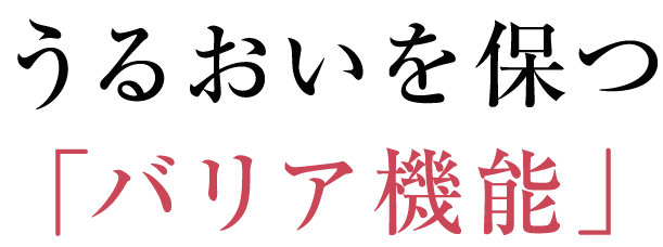 【紫陽花】アドバンスドローション付替２個とエマルジョン付替２個 アトピコSHC ローション | 大島椿公式オンラインショップ