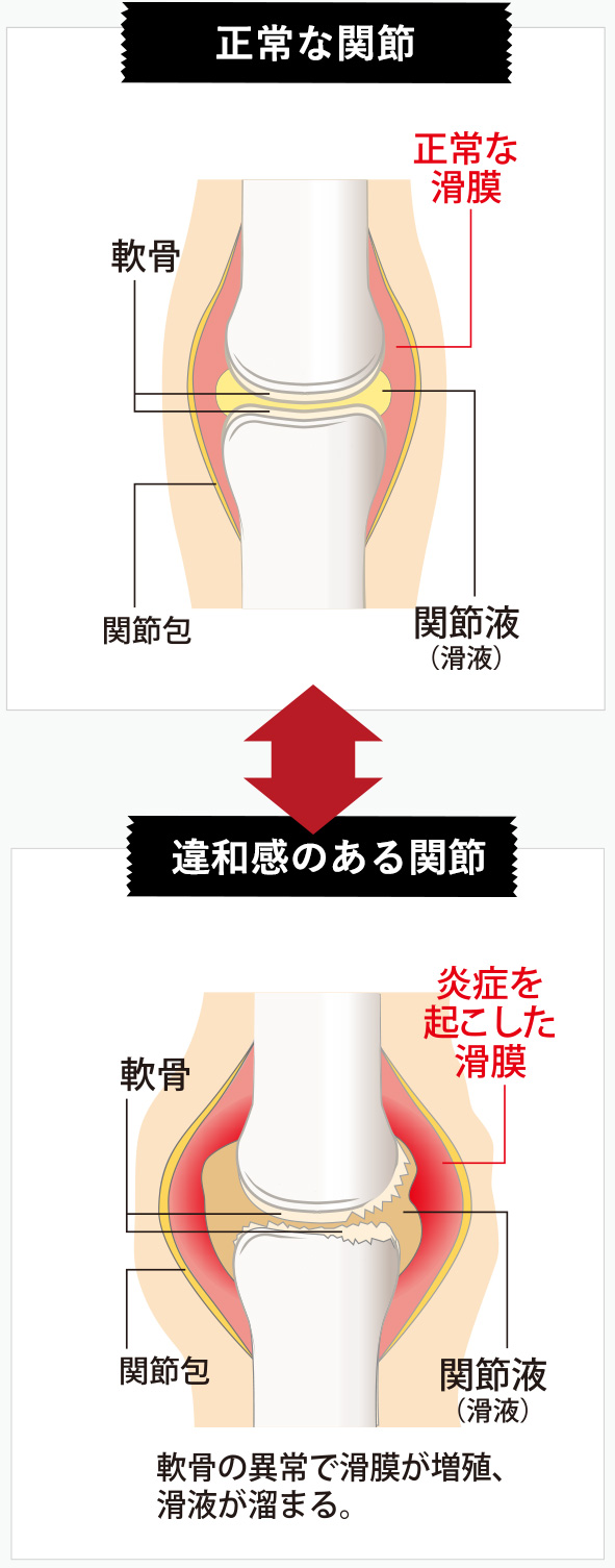 公式＞＜機能性表示食品＞万歩楽々ターメロン（60粒）｜ベリタス公式