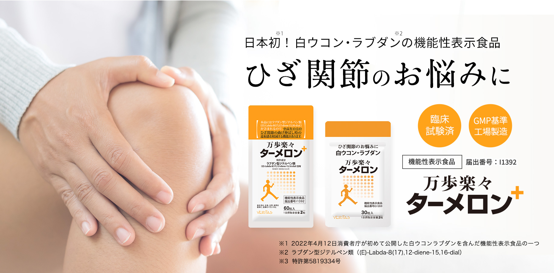 万歩楽々 ターメロン